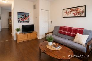 3363 S Racine Ave #3F - Photo 1 of 1