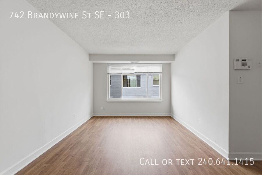 742 Brandywine St Se #303