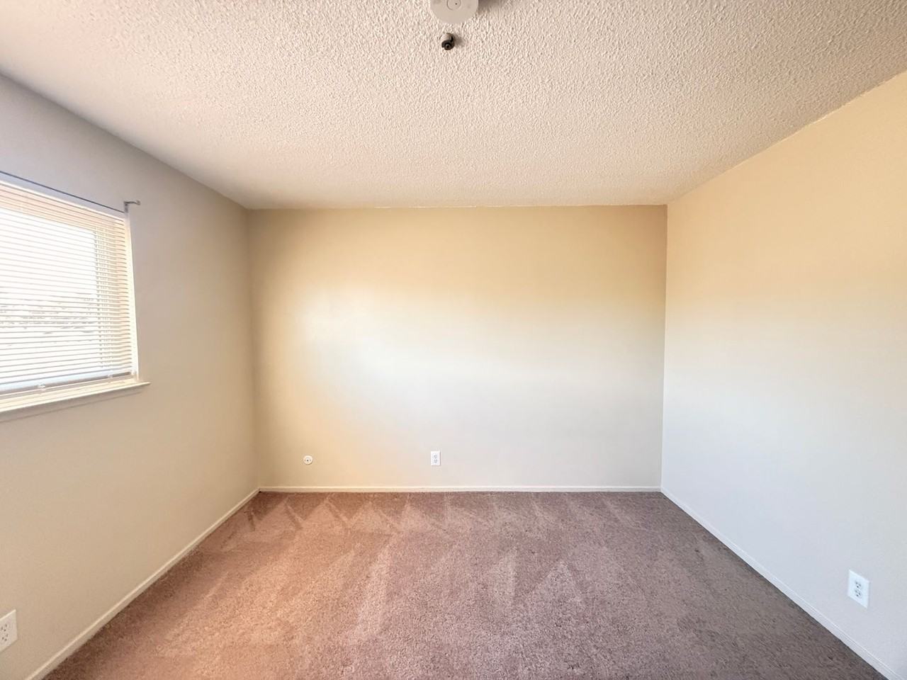 447 S E St #19 - Photo 7 of 8
