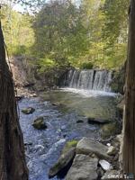 featured image of 25 E Shore Rd