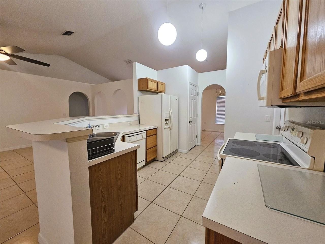 1017 White Bark Ct - Photo 4 of 12