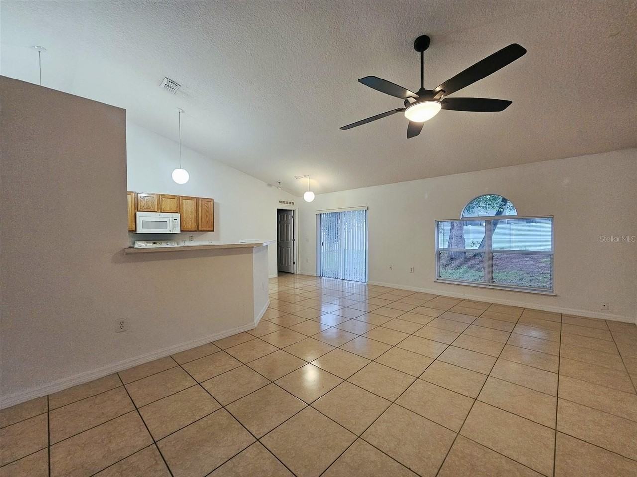 1017 White Bark Ct - Photo 7 of 12