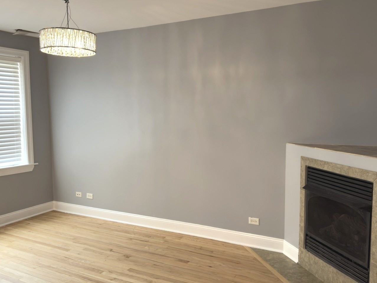 5416 W Windsor Ave #1N - Photo 4 of 19
