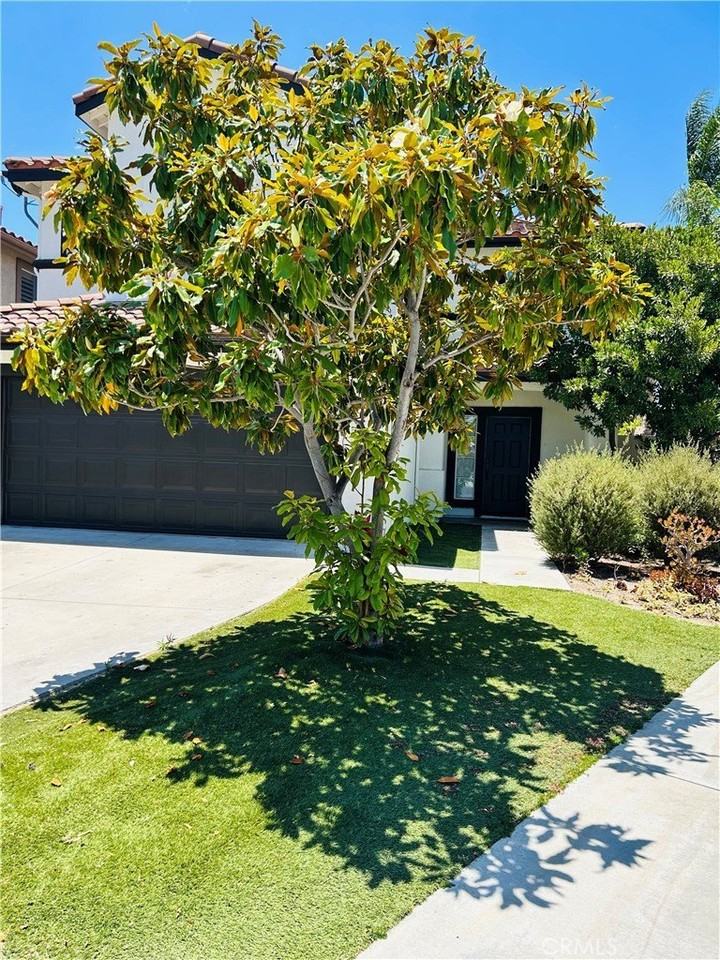 32561 Del Zura - Photo 4 of 35