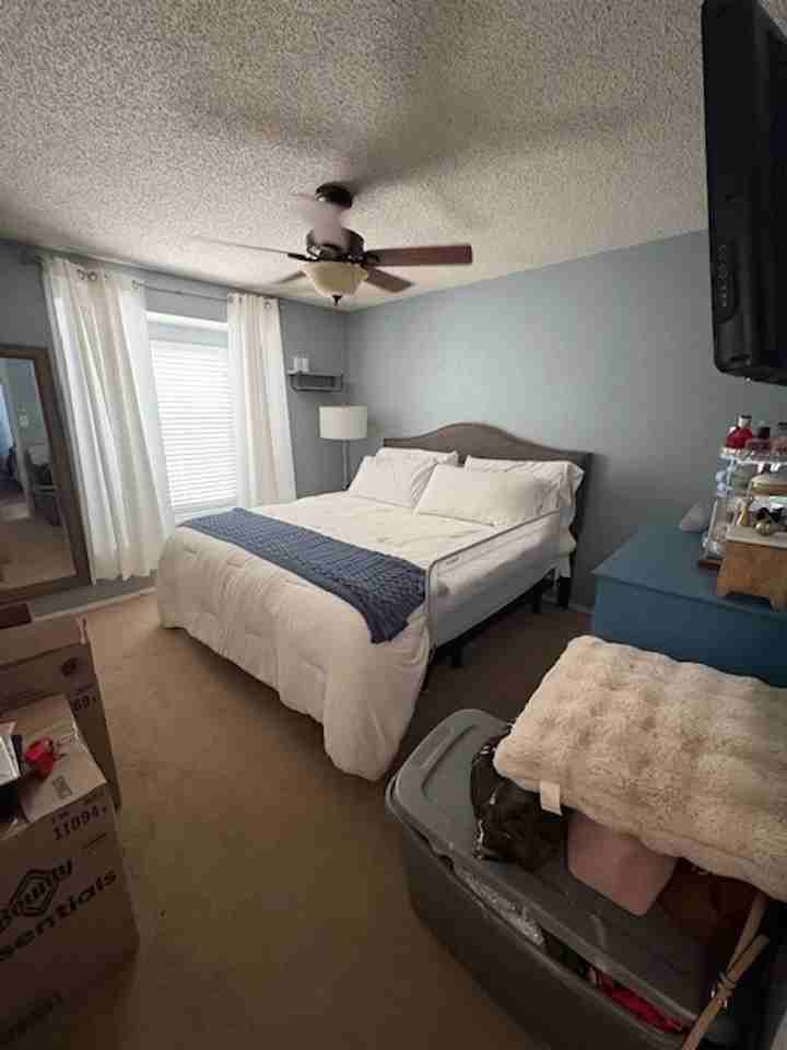 1616 Leslie Ann Ln - Photo 3 of 8