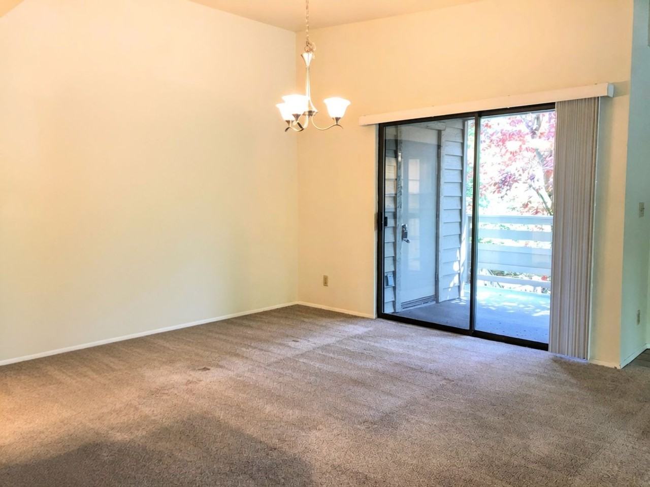 1256 Bellevue Way Ne #2 - Photo 5 of 21
