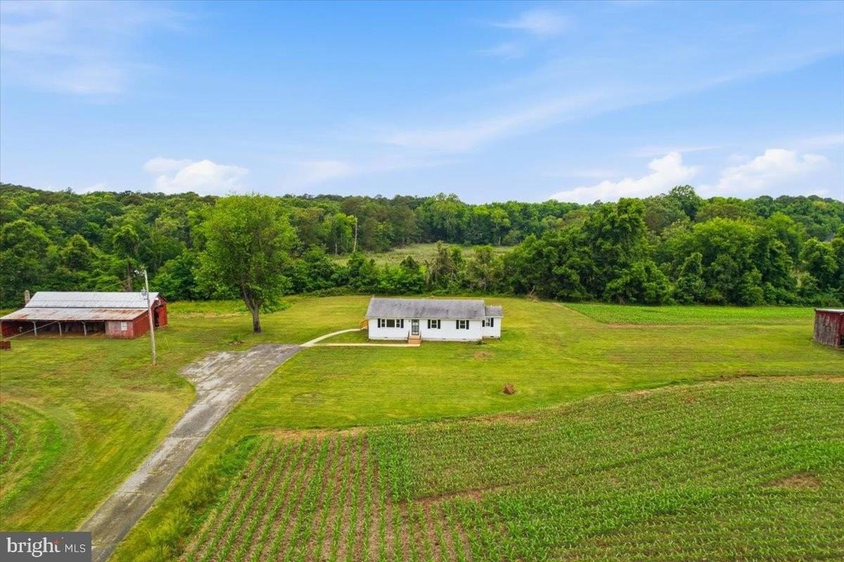 38125 Louis Thomas Rd - Photo 5 of 50