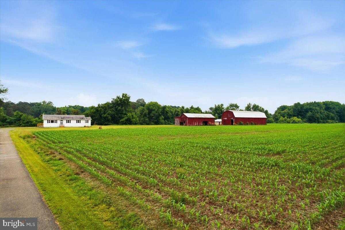 38125 Louis Thomas Rd - Photo 6 of 50