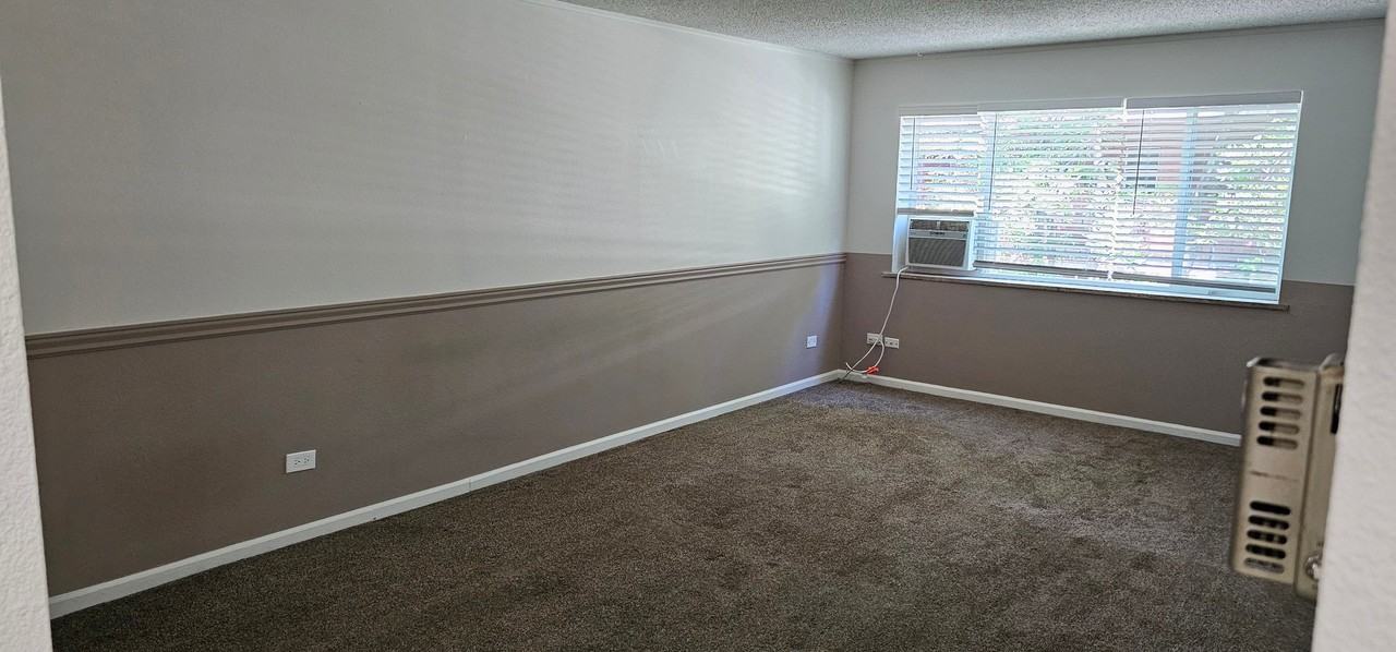 1160 N Ogden St #205 - Photo 5 of 15
