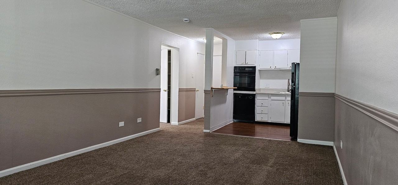 1160 N Ogden St #205 - Photo 2 of 15