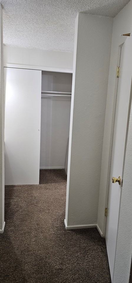 1160 N Ogden St #205 - Photo 7 of 15
