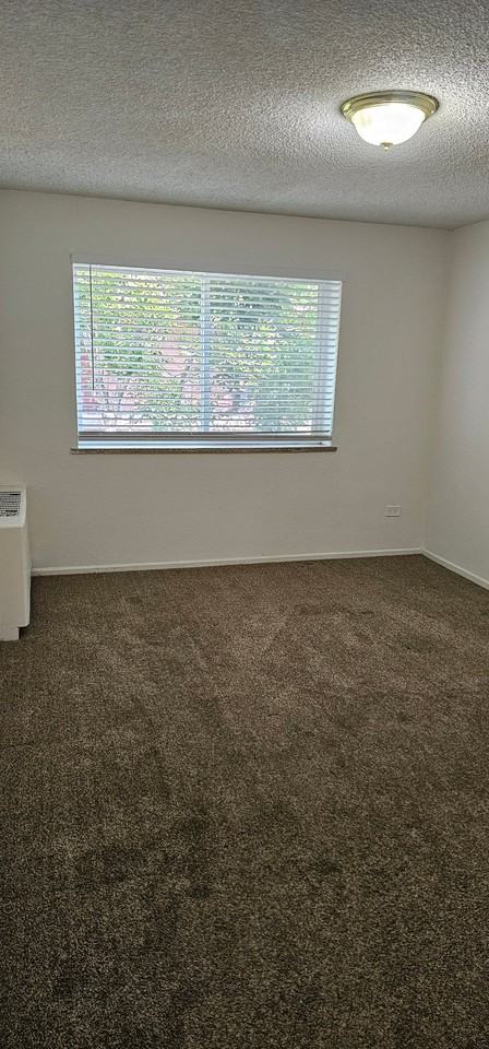 1160 N Ogden St #205 - Photo 6 of 15