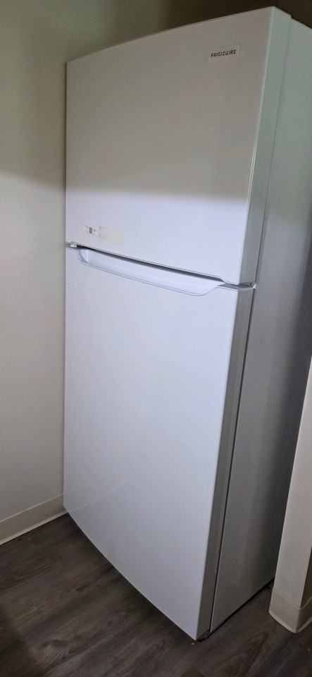 4 Carmichael St #316 - Photo 7 of 7