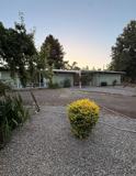 750 Waverly St - Photo 1 of 1