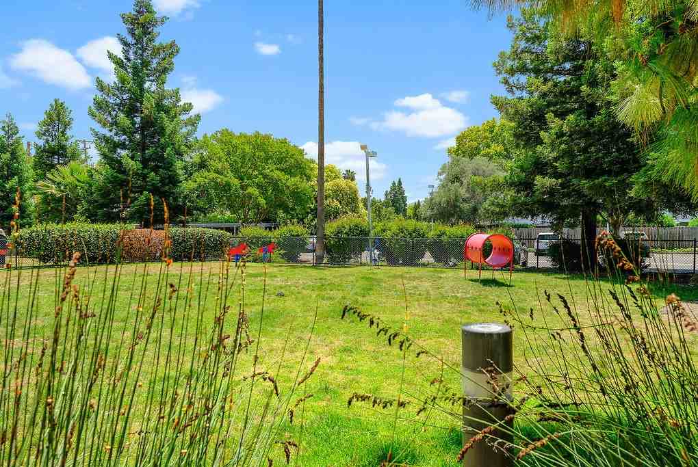 The Parc at Pruneyard - Photo 6 of 40