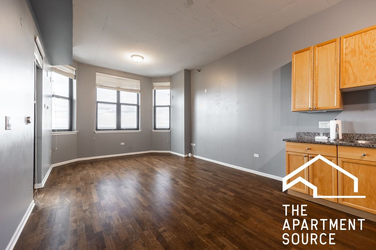 1464 S Michigan Ave #206 - Photo 6 of 10
