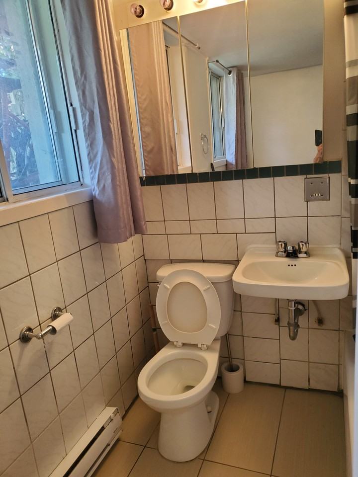 655 Avenue Lacharité #A - Photo 6 of 12