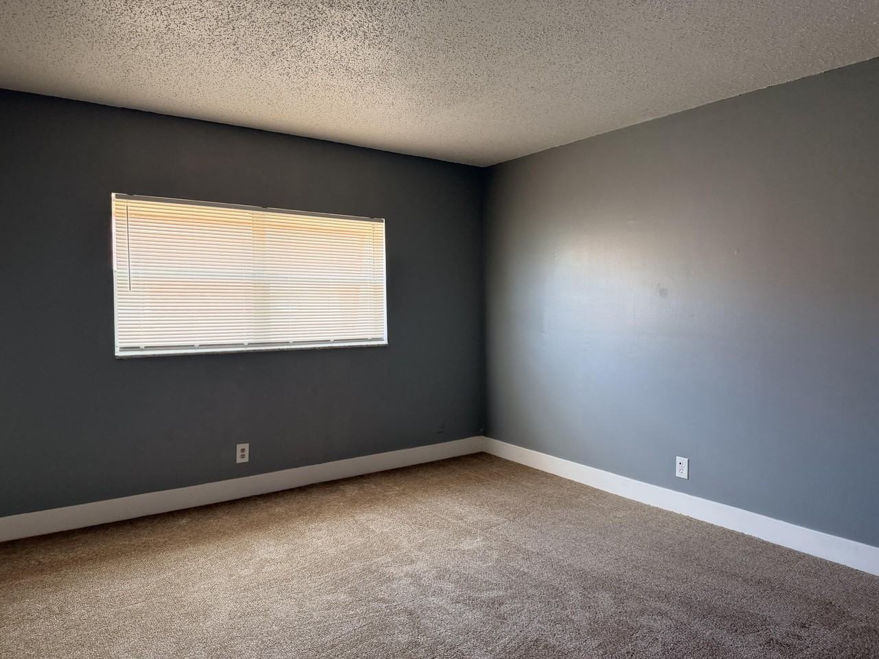 2552 Nw 52nd Ave #B19 - Photo 3 of 12