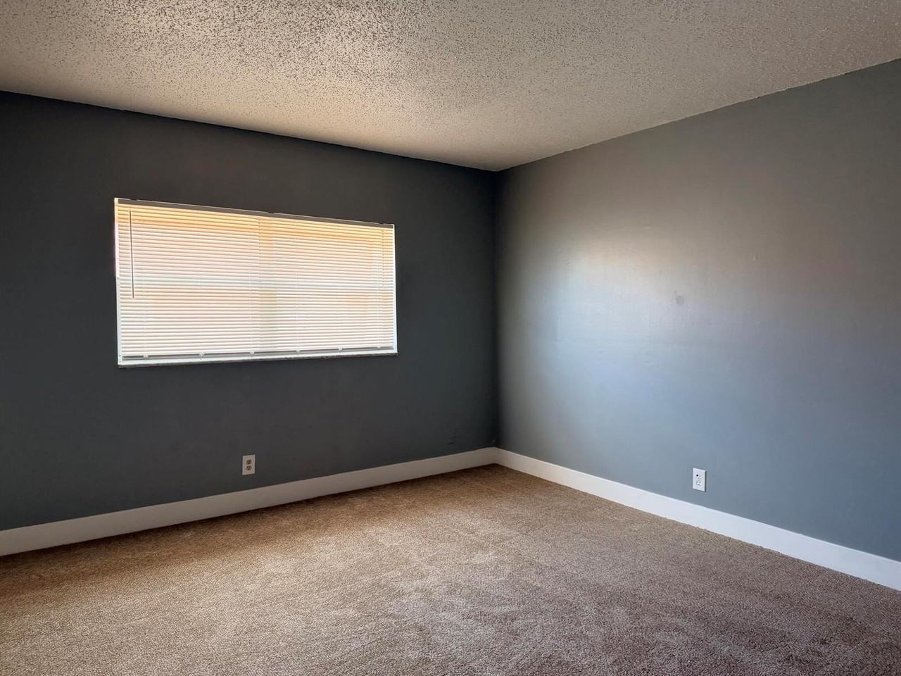 2552 Northwest 52nd Avenue #B19 - Photo 4 of 7