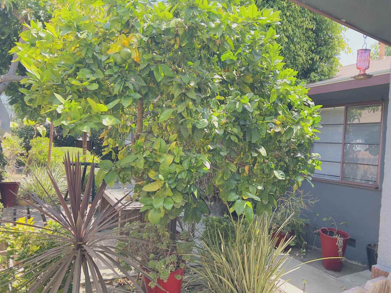 4247 South Centinela Avenue #4247 - Photo 3 of 3