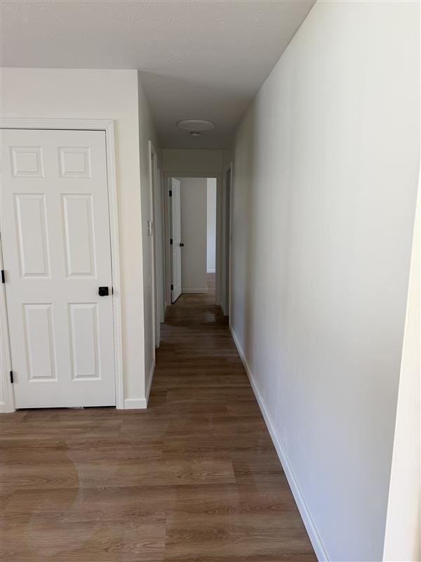 1648 Olympus Dr - Photo 4 of 12