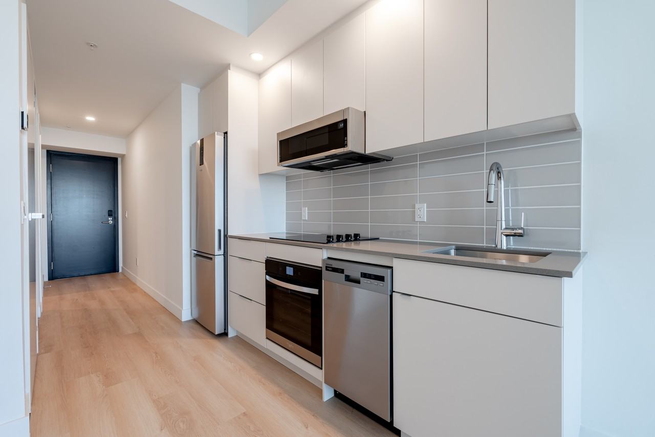 1001 Rue Lucien-L'Allier #206 - Photo 3 of 26