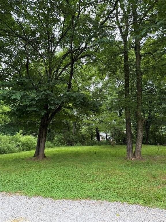 1515 Little Rd - Photo 4 of 16