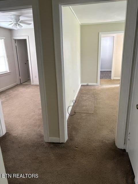 214 Juniper Ave - Photo 6 of 17