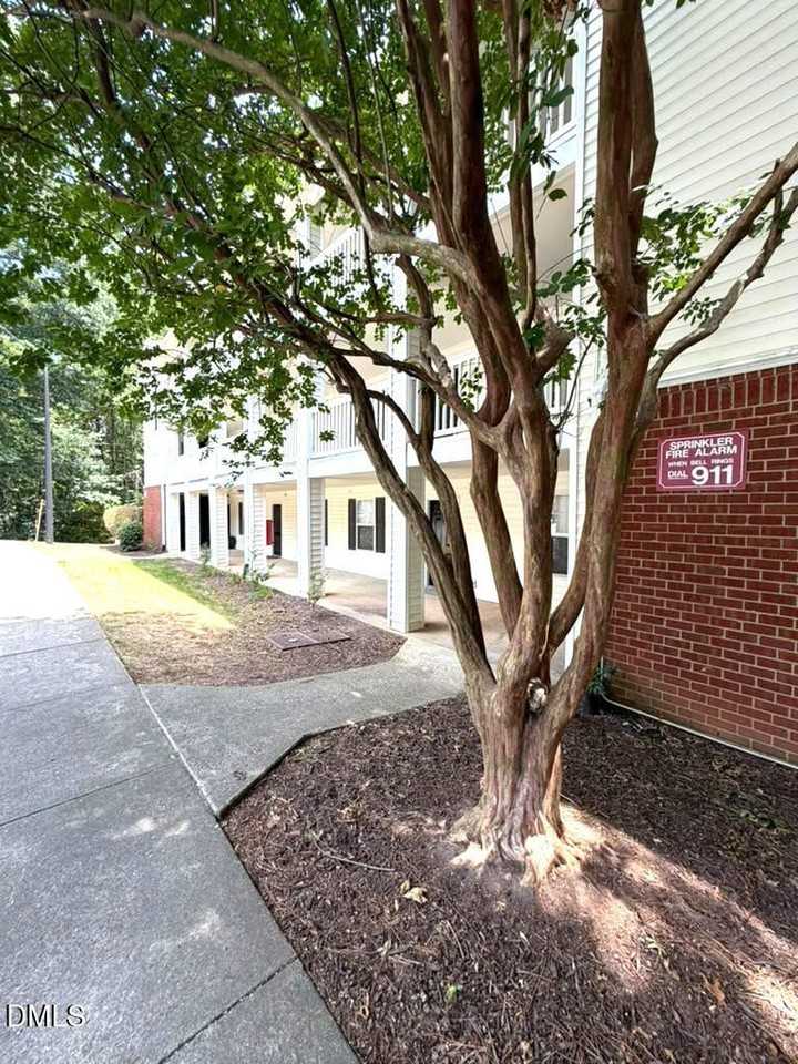 1851 Trailwood Heights Ln #104 - Photo 2 of 34