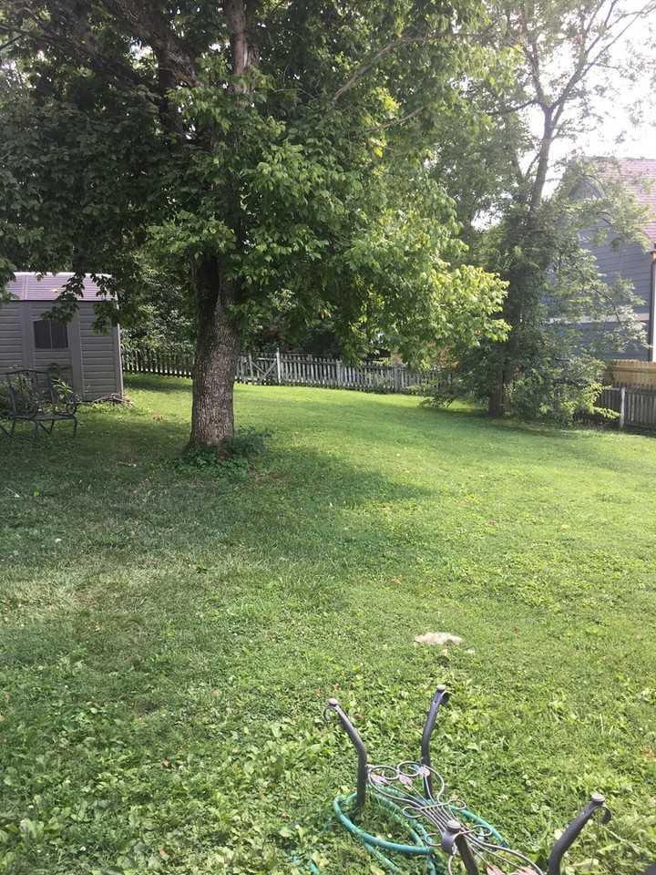 4103 Idaho Ave - Photo 5 of 8