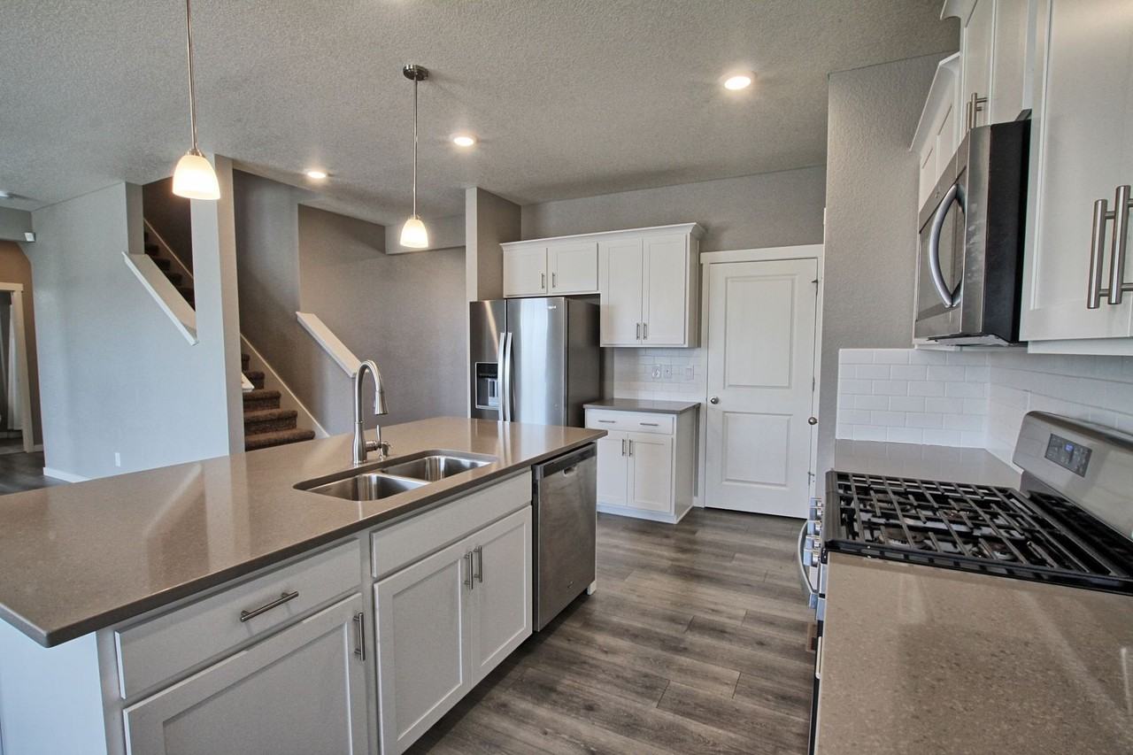2248 2248 Rosette Ln  Castle Rock, CO 80104 - Photo 5 of 27