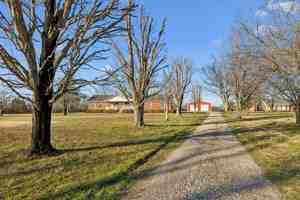 featured image of 353 Branham Mill Rd