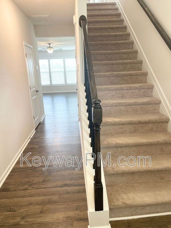 4136 Thimbleberry Dr - Photo 3 of 24