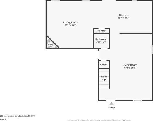 253 Cape Jasmine Way - Photo 2 of 13