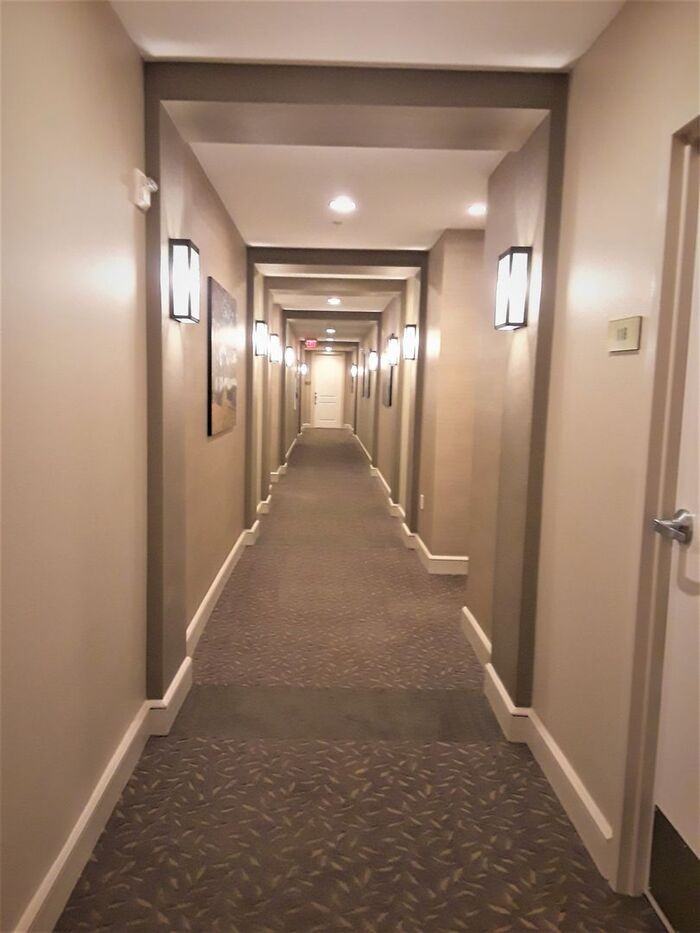 630 Vassar St #2404 - Photo 4 of 16