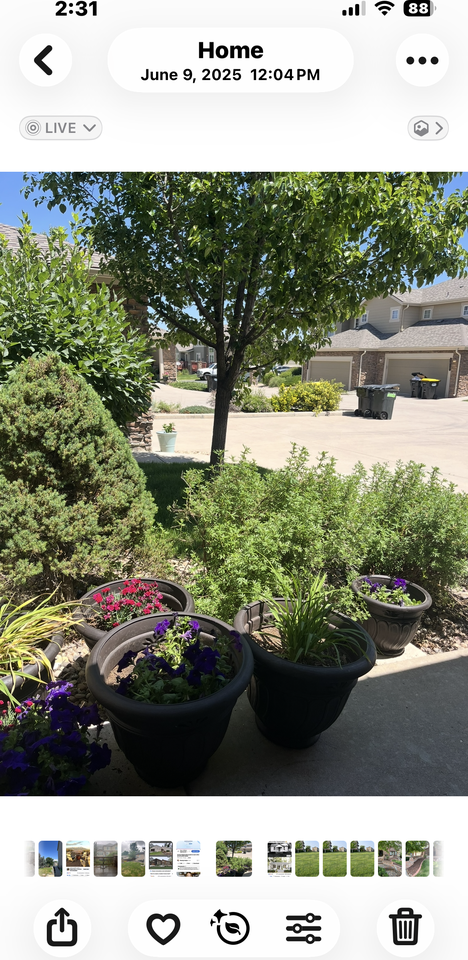 7609 S Quatar Way #NA - Photo 2 of 3