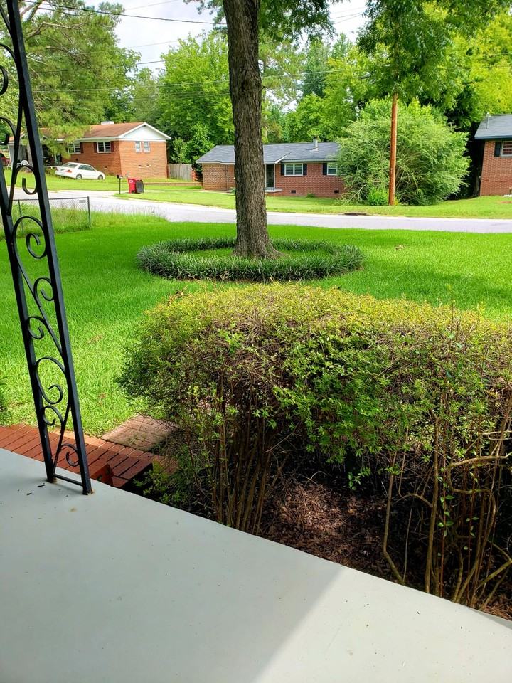 4017 Lindwood Dr #NA - Photo 4 of 13