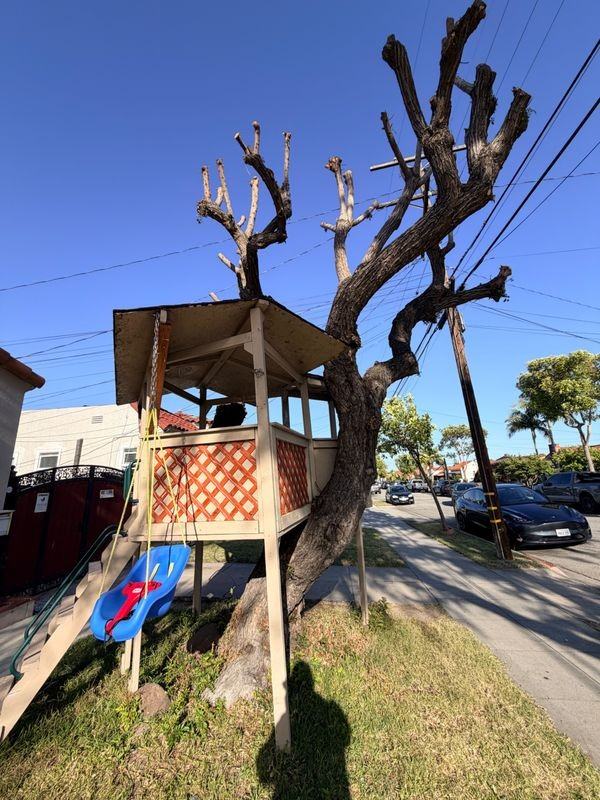 3313 California St - Photo 4 of 17
