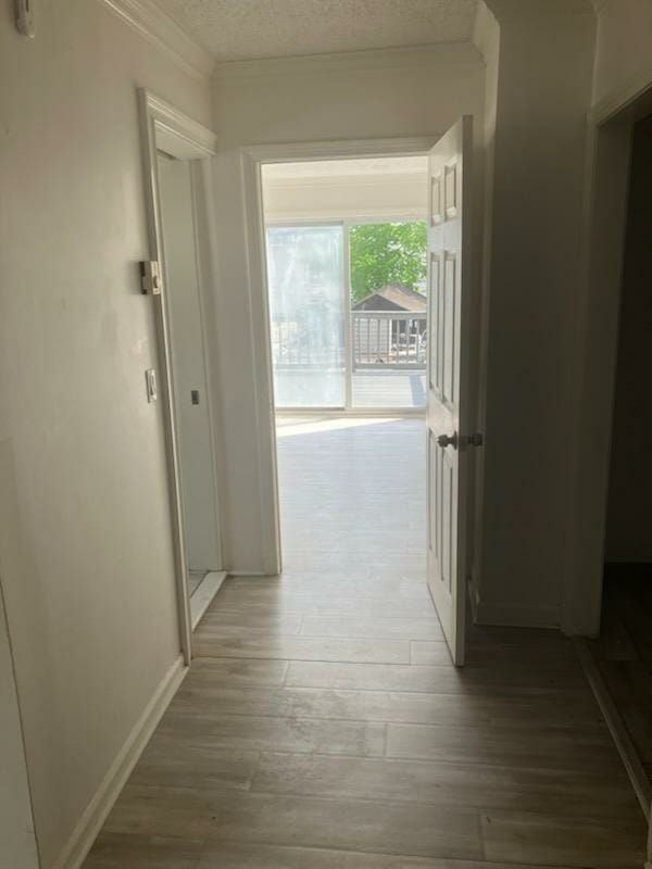 841 Whalley Ave ##B - Photo 2 of 14