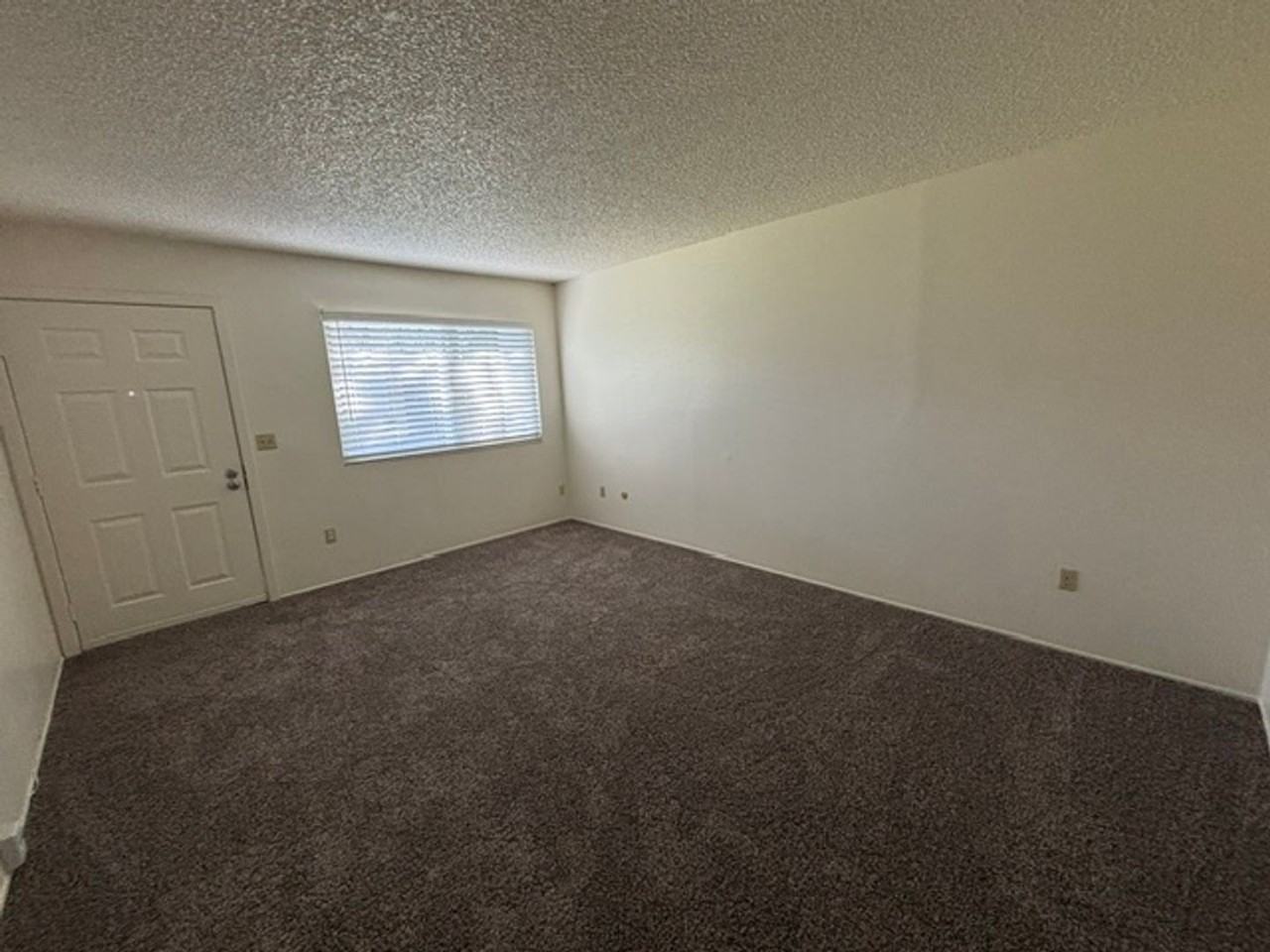 8012 S Laurelglen Blvd #C - Photo 6 of 17