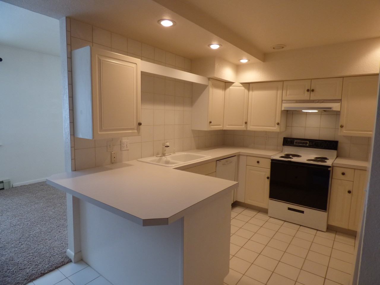 1000 Fountain Terrace Dr #1 - Photo 6 of 50