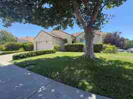 featured image of 798 Shannon Dr