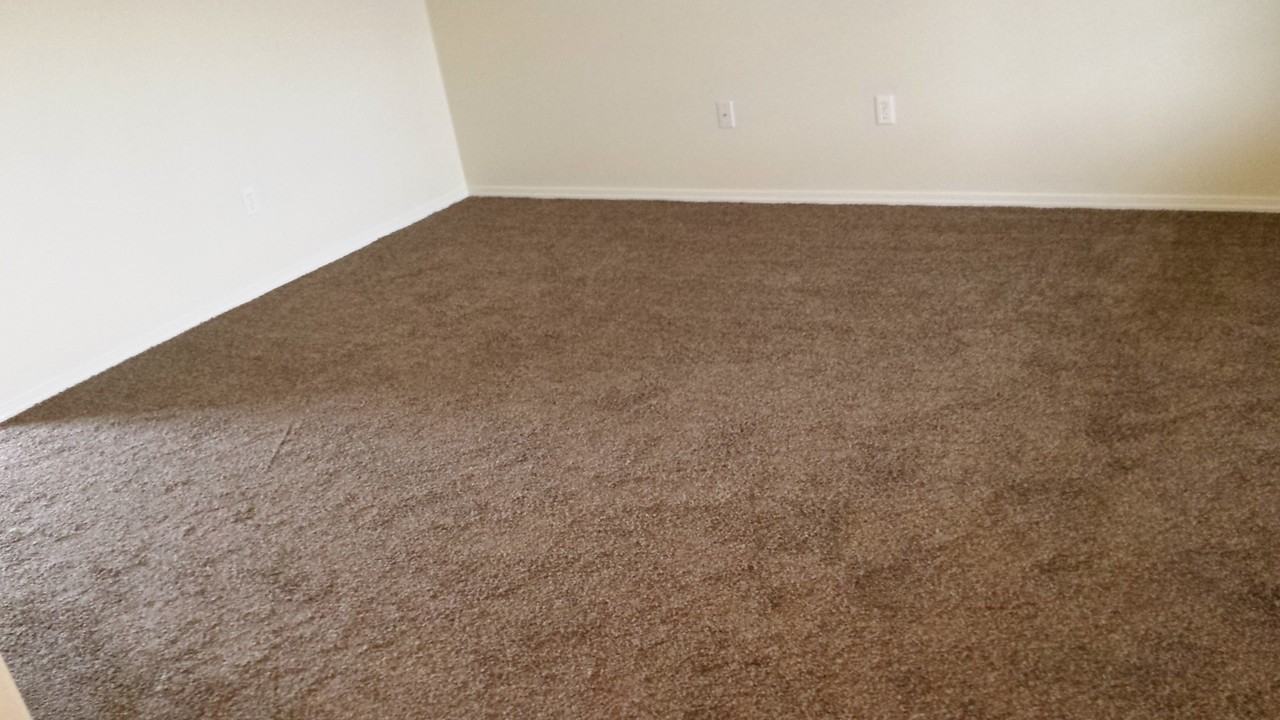 693 E Willowbrook Dr - Photo 6 of 10