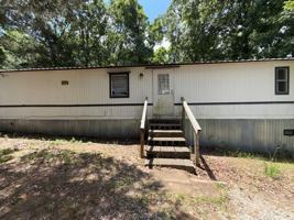 featured image of 125 County Road 371