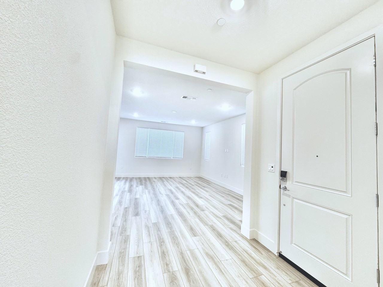 7253 Vinny Pl #MAIN - Photo 4 of 50