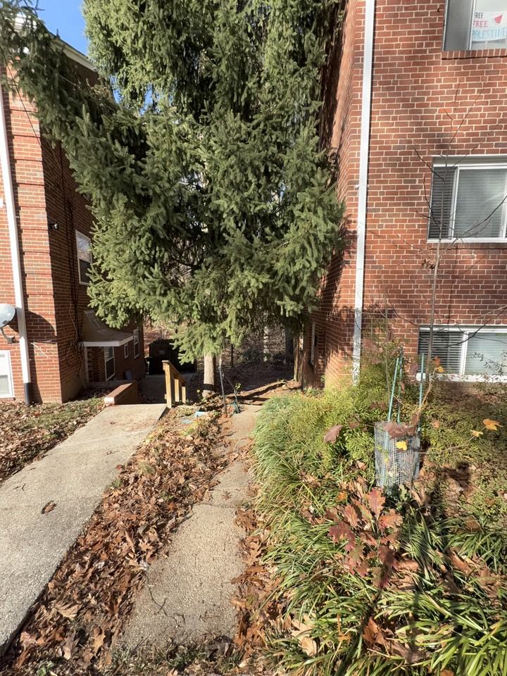8316 Roanoke Avenue - 1Unit 1 #1 - Photo 2 of 16