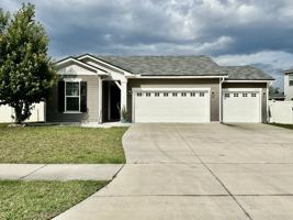 featured image of 1443 Tropical Pine Cv #1