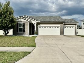 1443 Tropical Pine Cv #1 - Photo 1 of 1