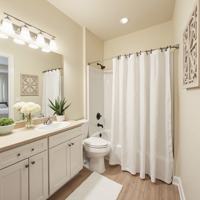 featured image of 16925 Silver Pine Road