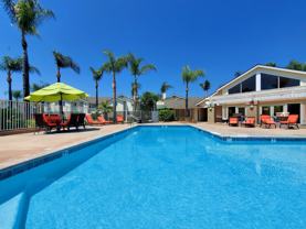 Citrus Court Apartments - Photo 1 of 1